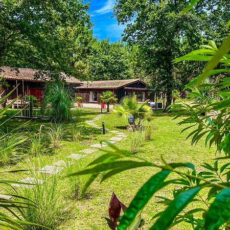 House De La Canopee, Swimming Pool, Lake, Forest, Large Garden And Wifi Hourtin Luaran gambar