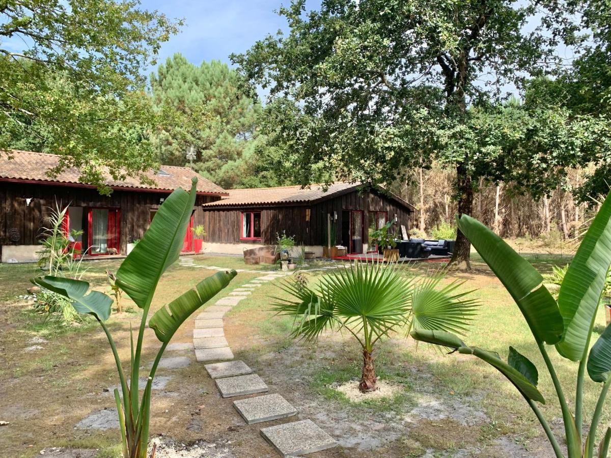 House De La Canopee, Swimming Pool, Lake, Forest, Large Garden And Wifi Hourtin Luaran gambar