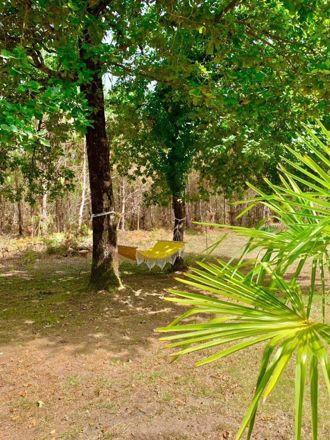 House De La Canopee, Swimming Pool, Lake, Forest, Large Garden And Wifi Hourtin Luaran gambar