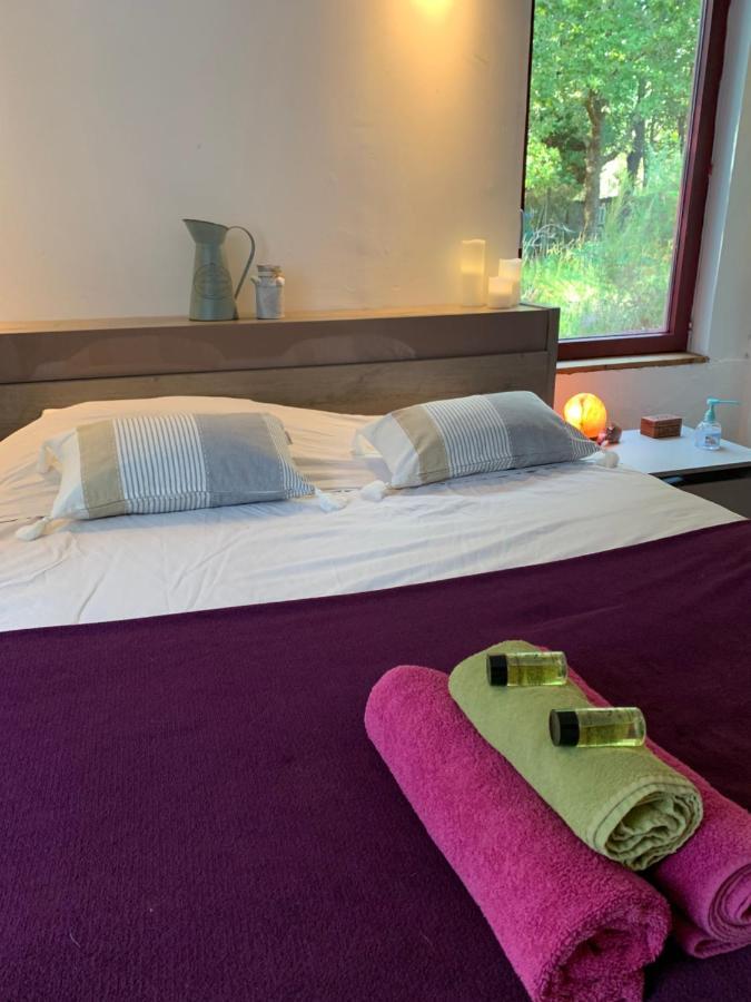 House De La Canopee, Swimming Pool, Lake, Forest, Large Garden And Wifi Hourtin Luaran gambar