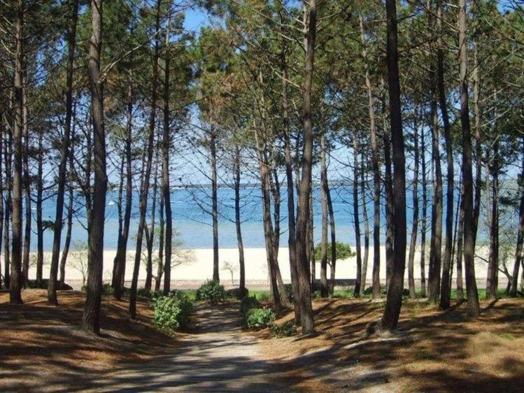 House De La Canopee, Swimming Pool, Lake, Forest, Large Garden And Wifi Hourtin Luaran gambar