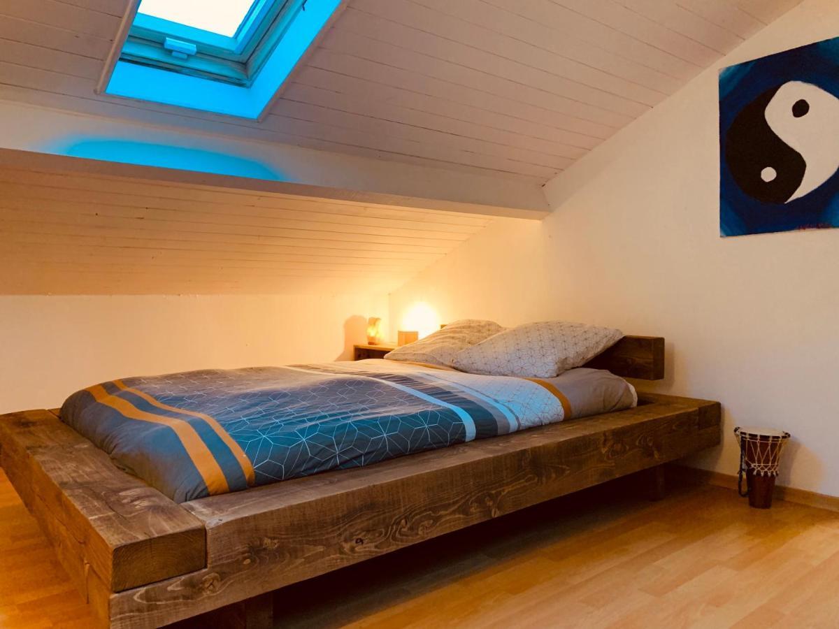 House De La Canopee, Swimming Pool, Lake, Forest, Large Garden And Wifi Hourtin Luaran gambar