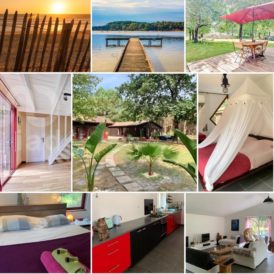 House De La Canopee, Swimming Pool, Lake, Forest, Large Garden And Wifi Hourtin Luaran gambar