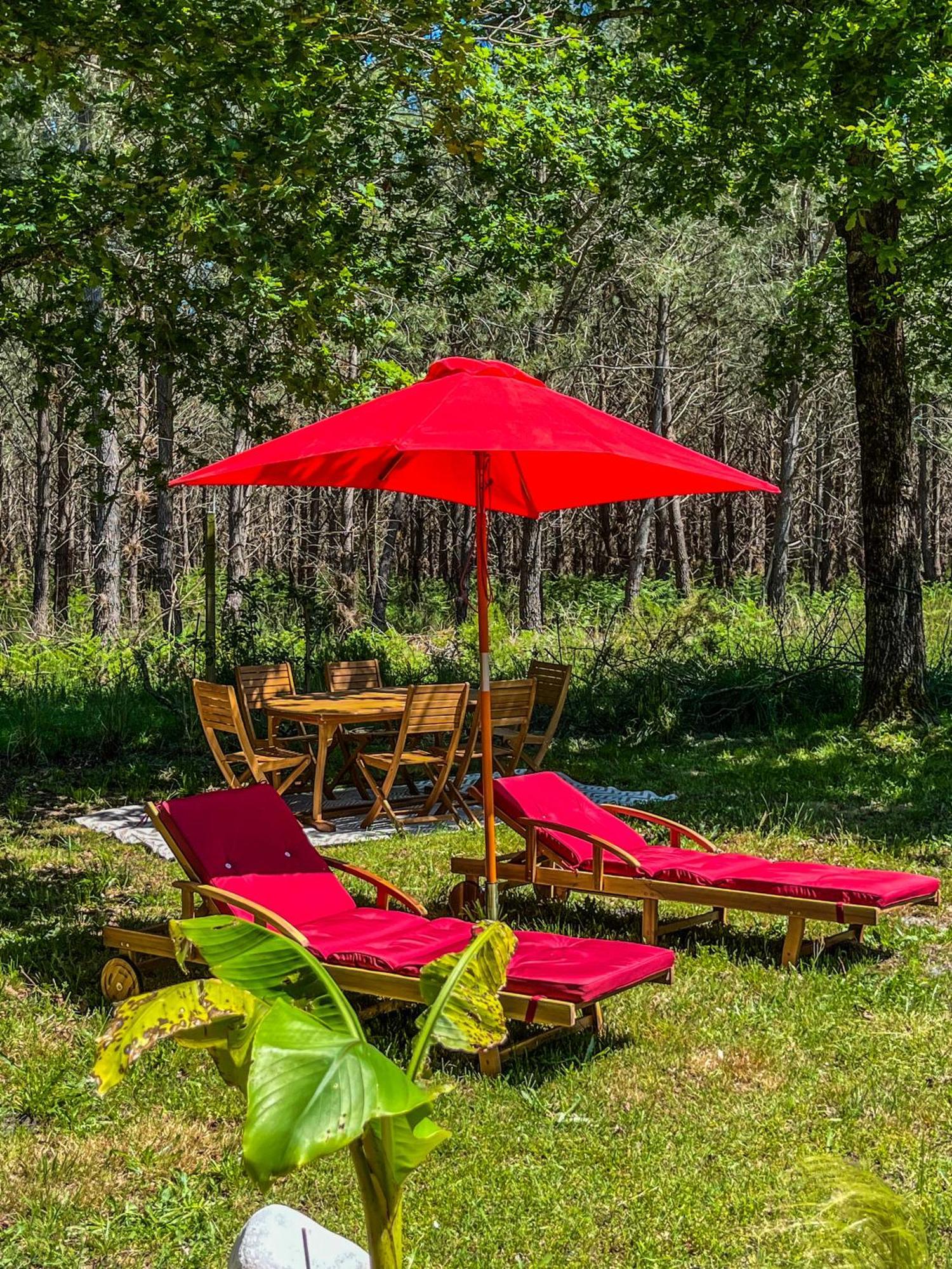 House De La Canopee, Swimming Pool, Lake, Forest, Large Garden And Wifi Hourtin Luaran gambar