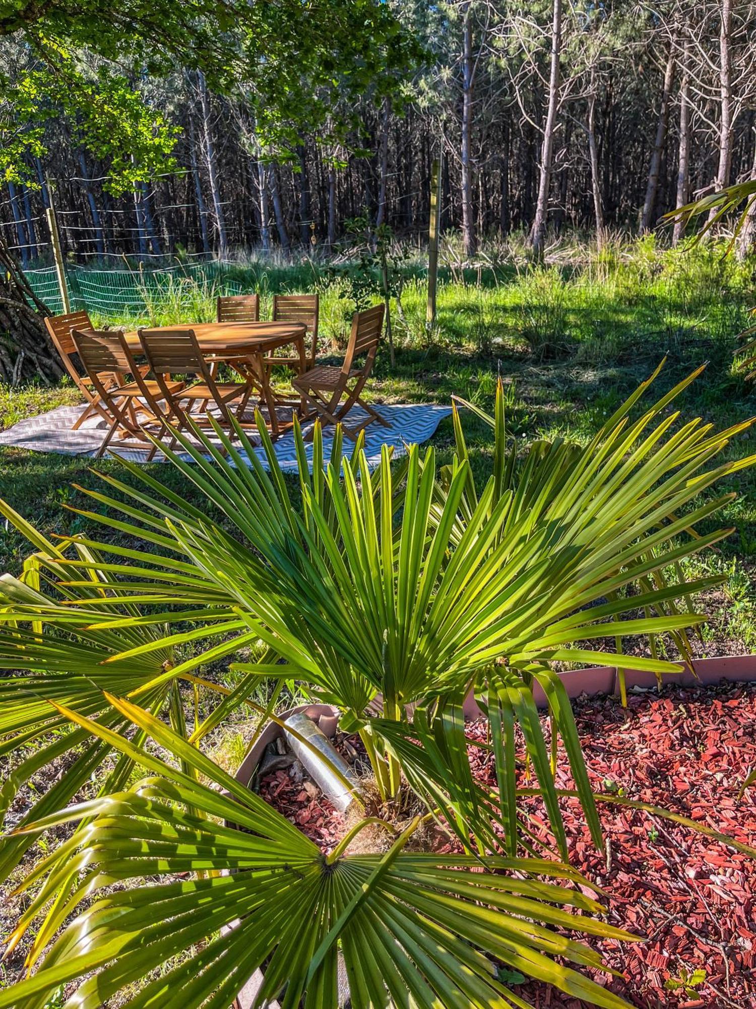 House De La Canopee, Swimming Pool, Lake, Forest, Large Garden And Wifi Hourtin Luaran gambar