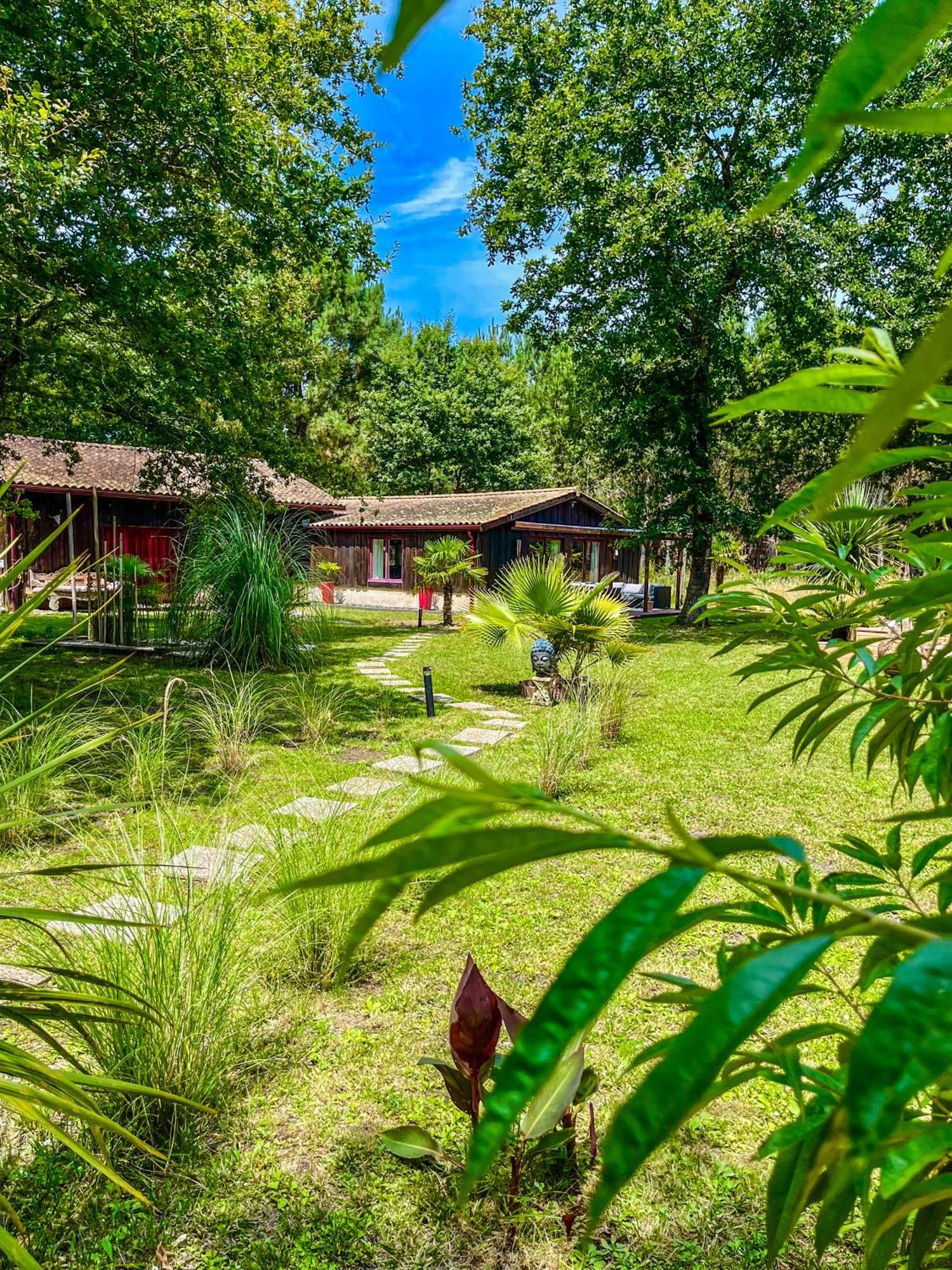 House De La Canopee, Swimming Pool, Lake, Forest, Large Garden And Wifi Hourtin Luaran gambar